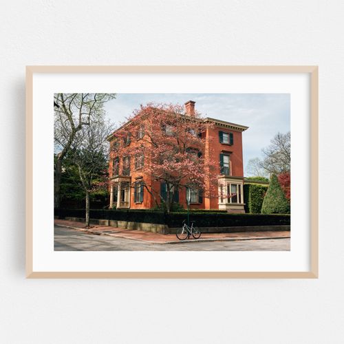 Spring in College Hill, Providence