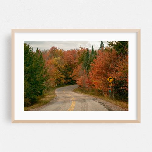 Autumn Road, Horseshoe Lake