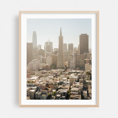 Downtown from Coit Tower 05