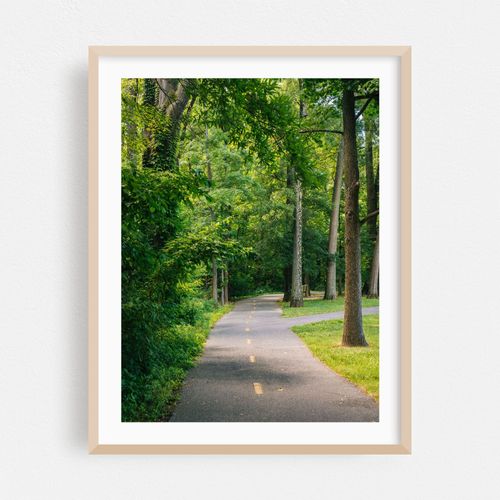 Mount Vernon Trail, Alexandria 01