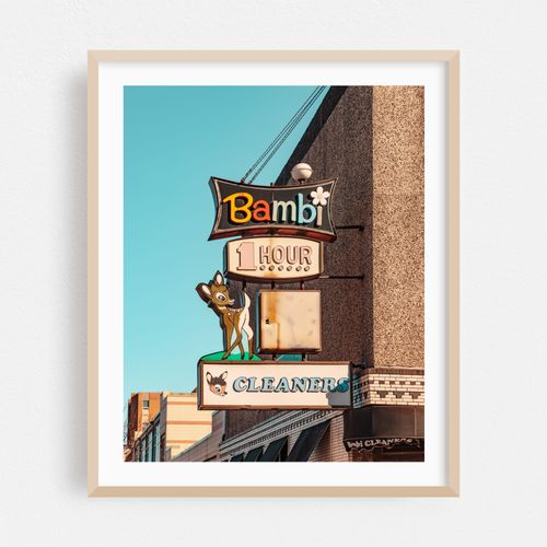Bambi Cleaners