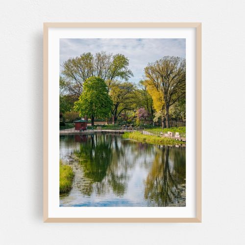 South Pond at Lincoln Park, Chicago