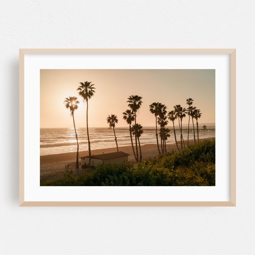 Palms in San Clemente 03