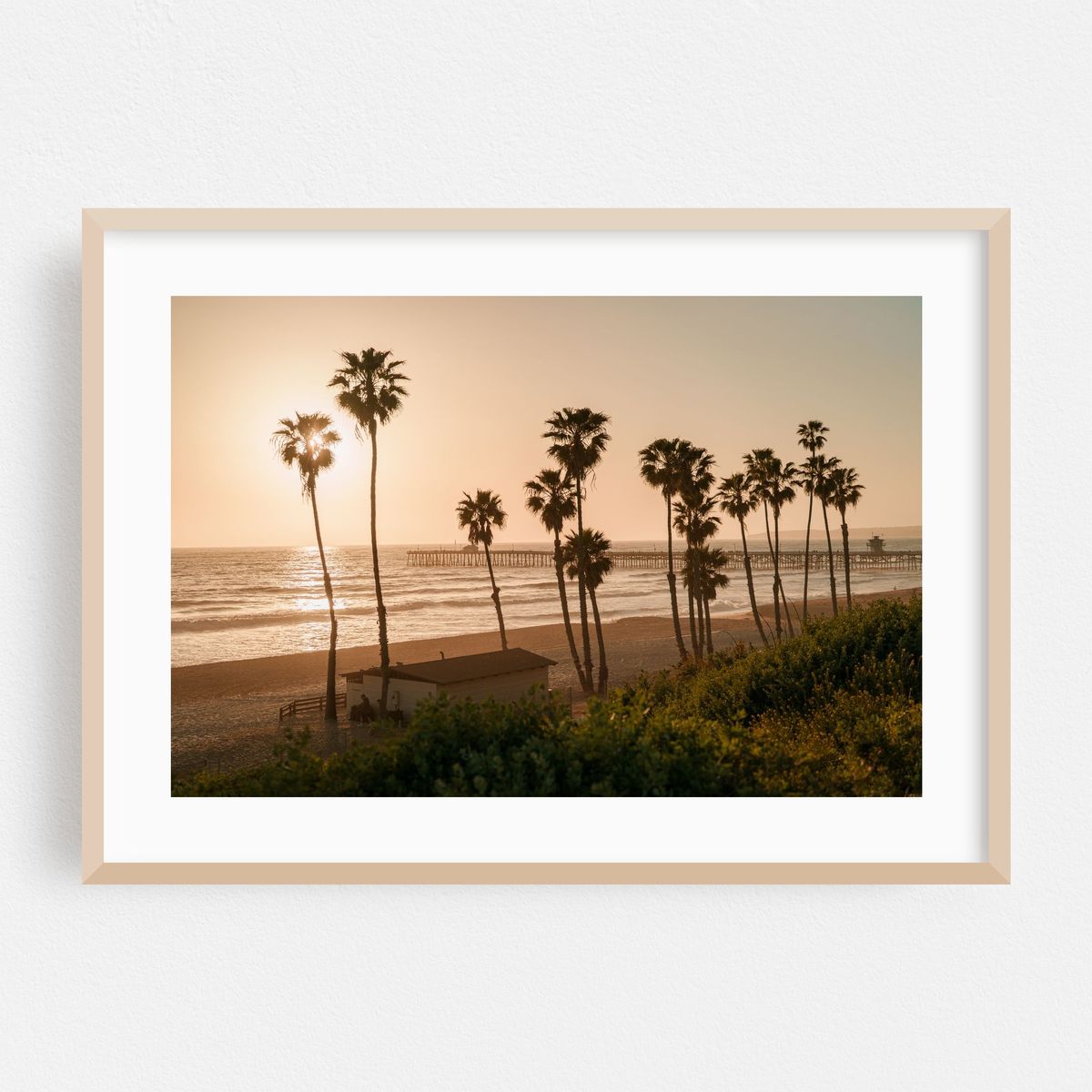Palms in San Clemente 03 – image 1 of 6