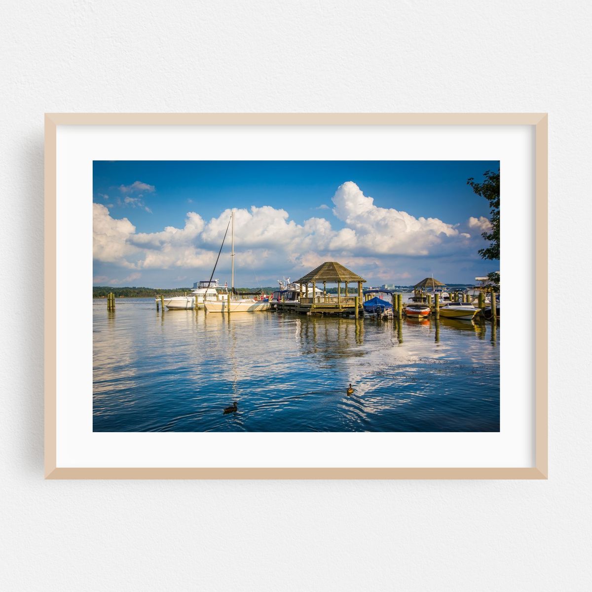 Docked on the Potomac – image 1 of 6