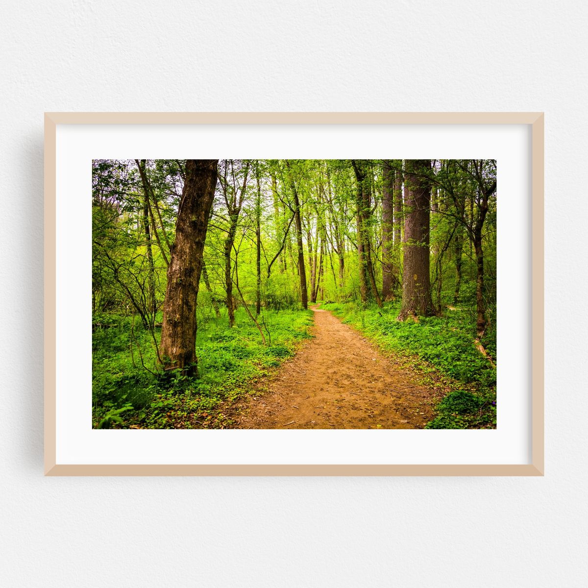 Lancaster Country Central Park – image 1 of 6