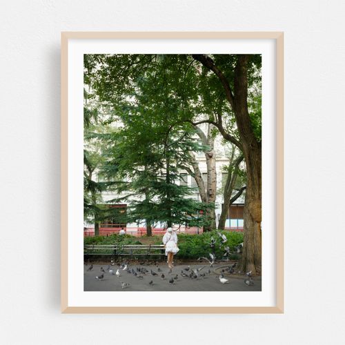 Feeding Pigeons in Washington Square Park 01