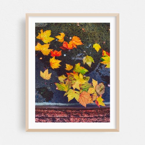 Autumn Leaves in Water 02