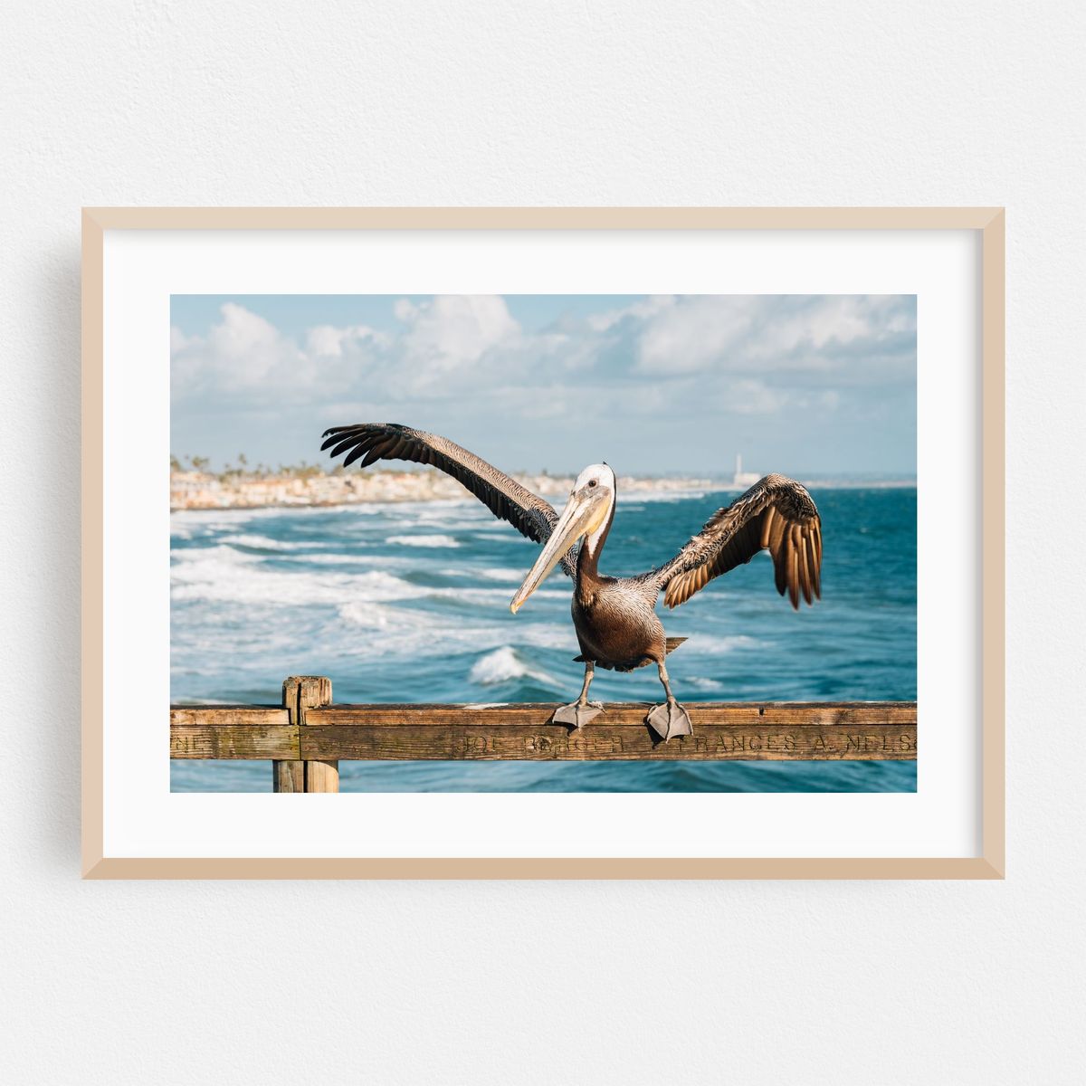Pelican, Oceanside 02 – image 1 of 6