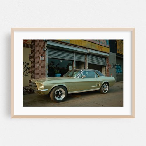 Mustang, Crown Heights