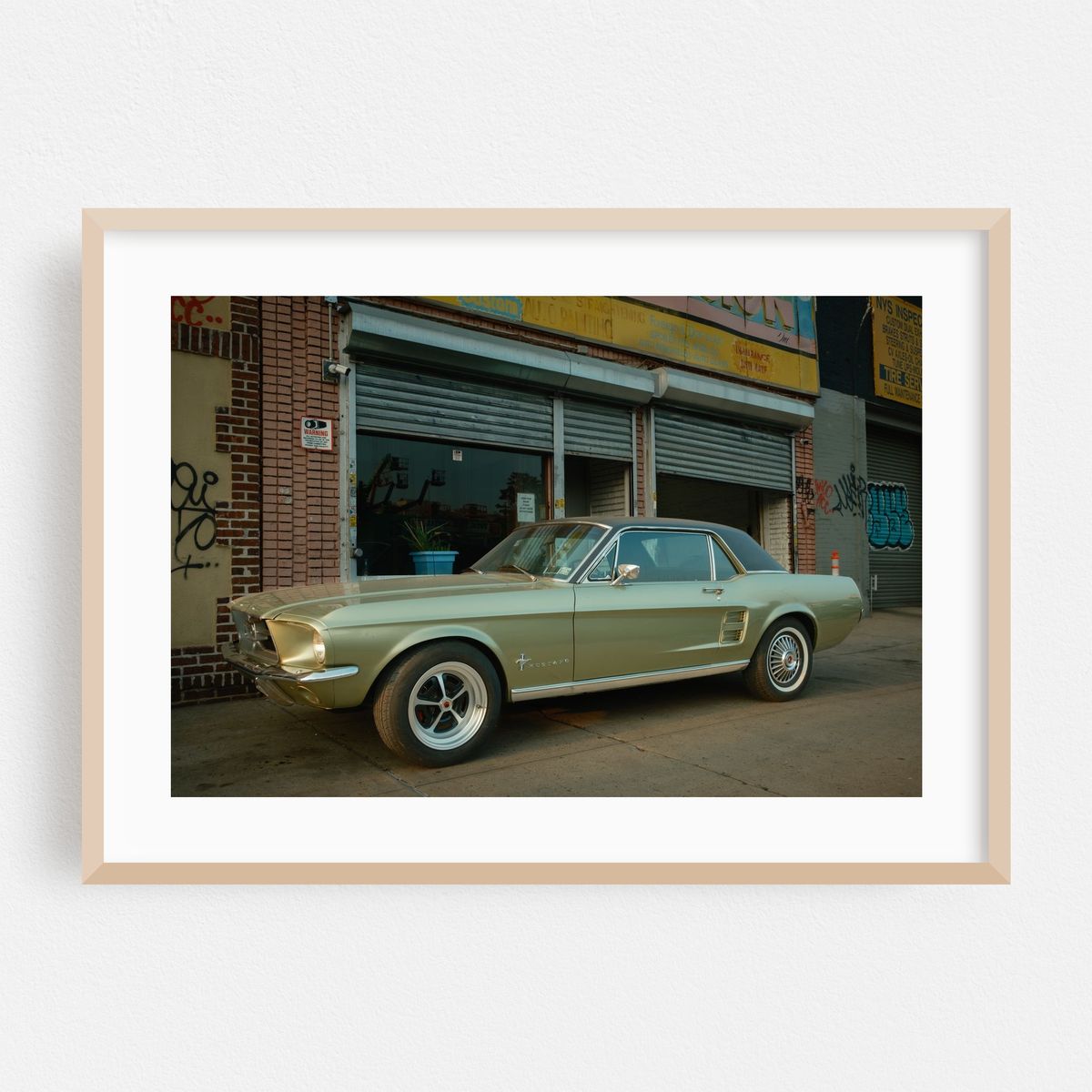 Mustang, Crown Heights – image 1 of 6