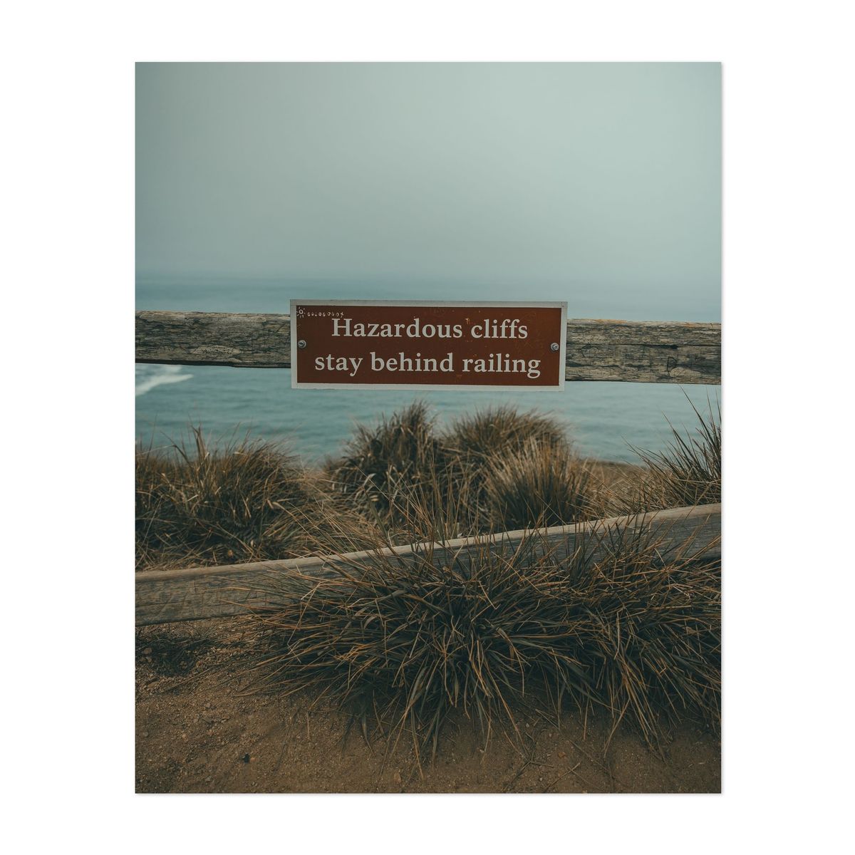 Point Reyes 04 - 2026 – image 1 of 2
