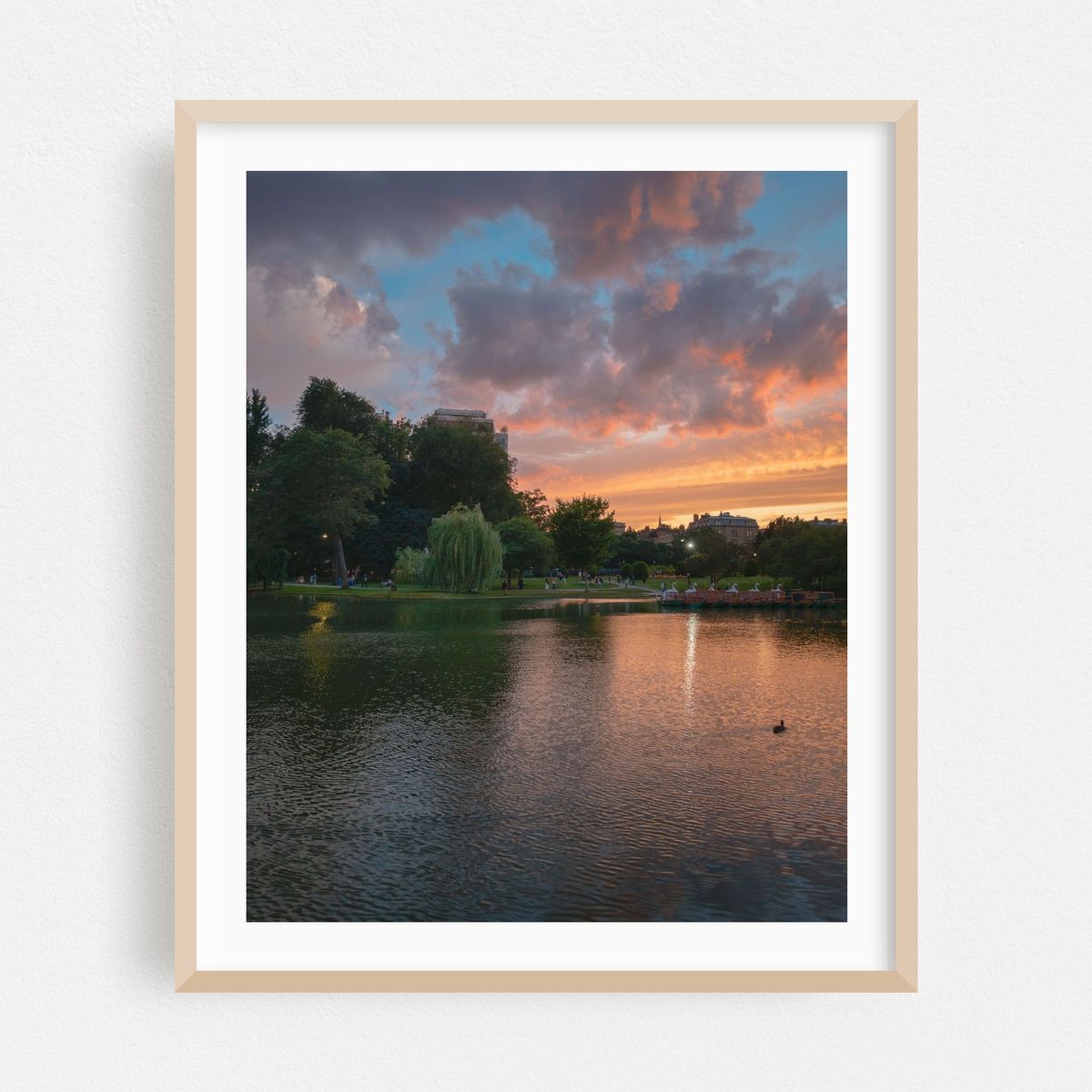 Sunset at the Public Garden, Boston 01 – image 1 of 12