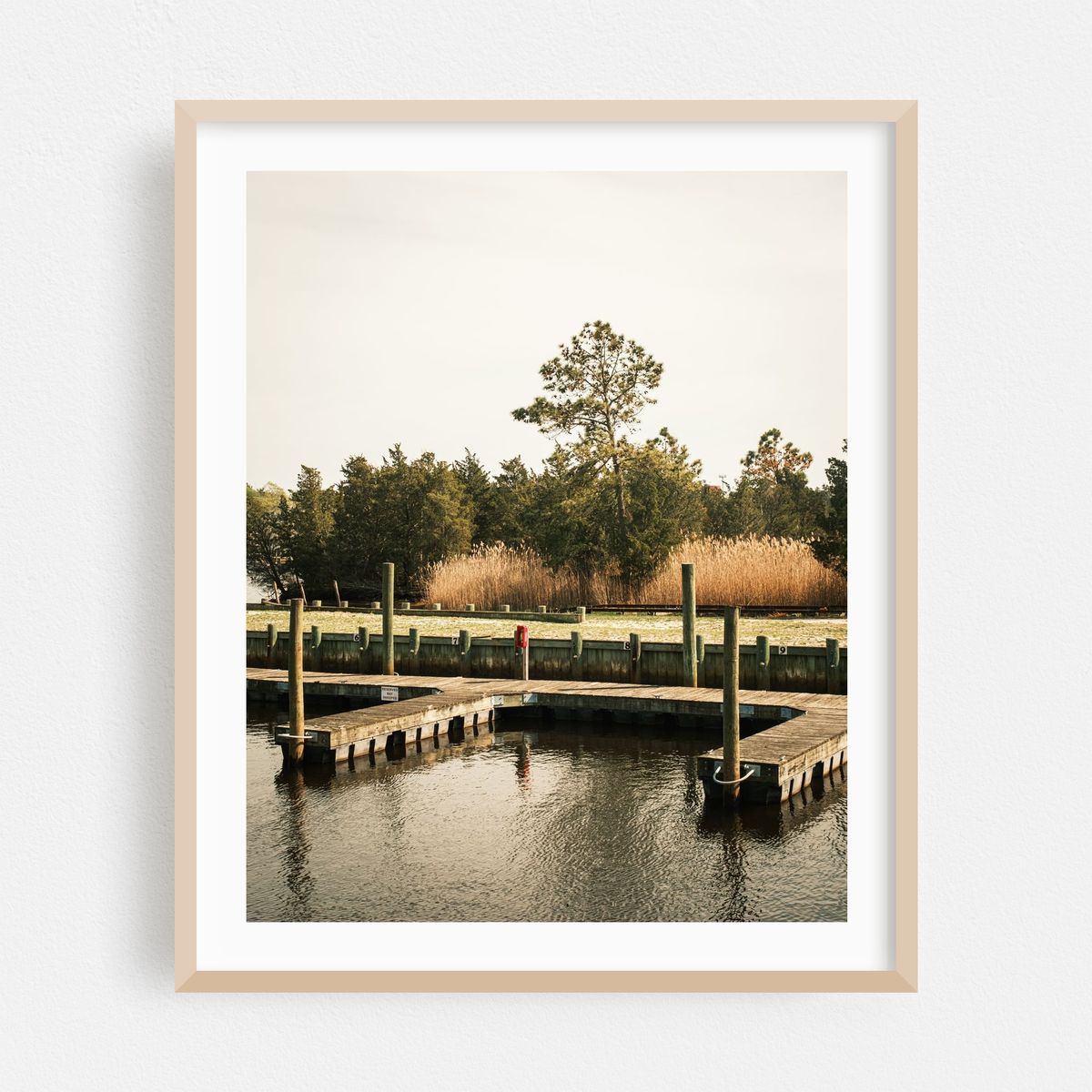 Docks in Tuckerton – image 1 of 12