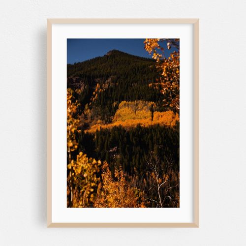 Vail Pass Hillside II
