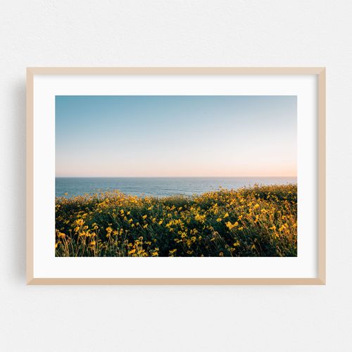 Dana Point Headlands 02