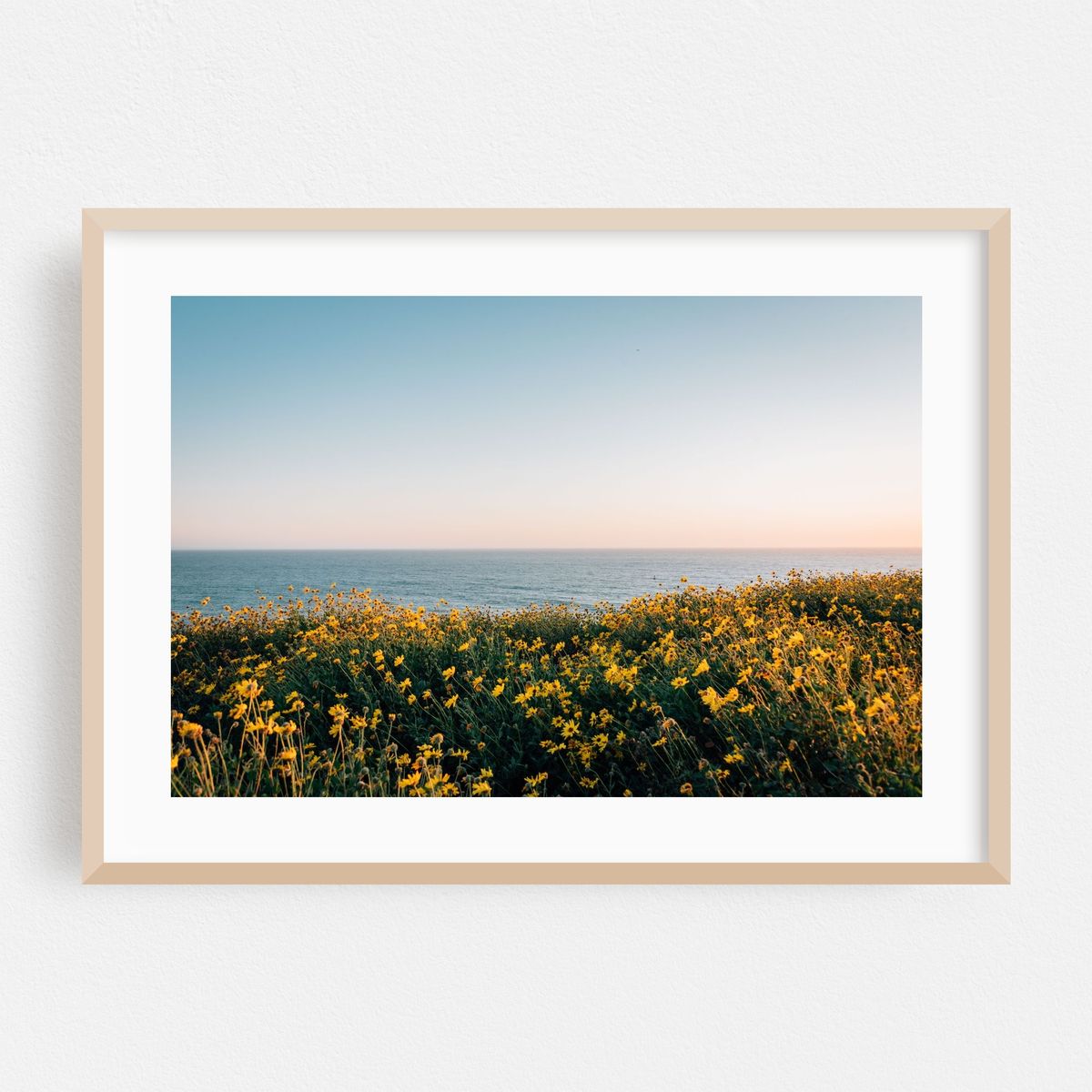 Dana Point Headlands 02 – image 1 of 9