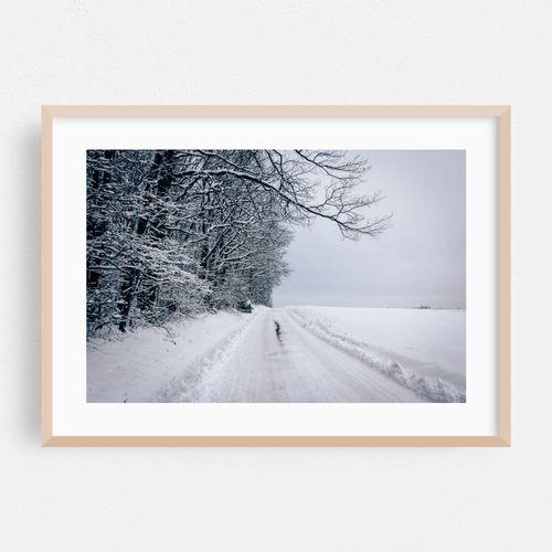 Winter's Silence