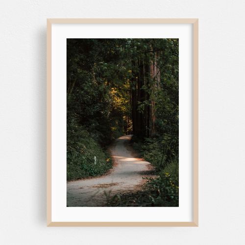 Into the Woods