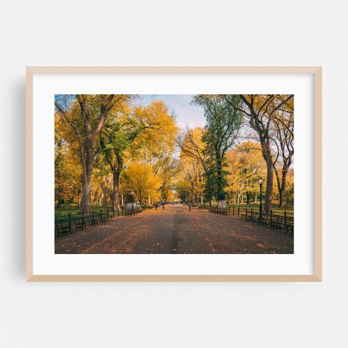 The Mall, Central Park 01