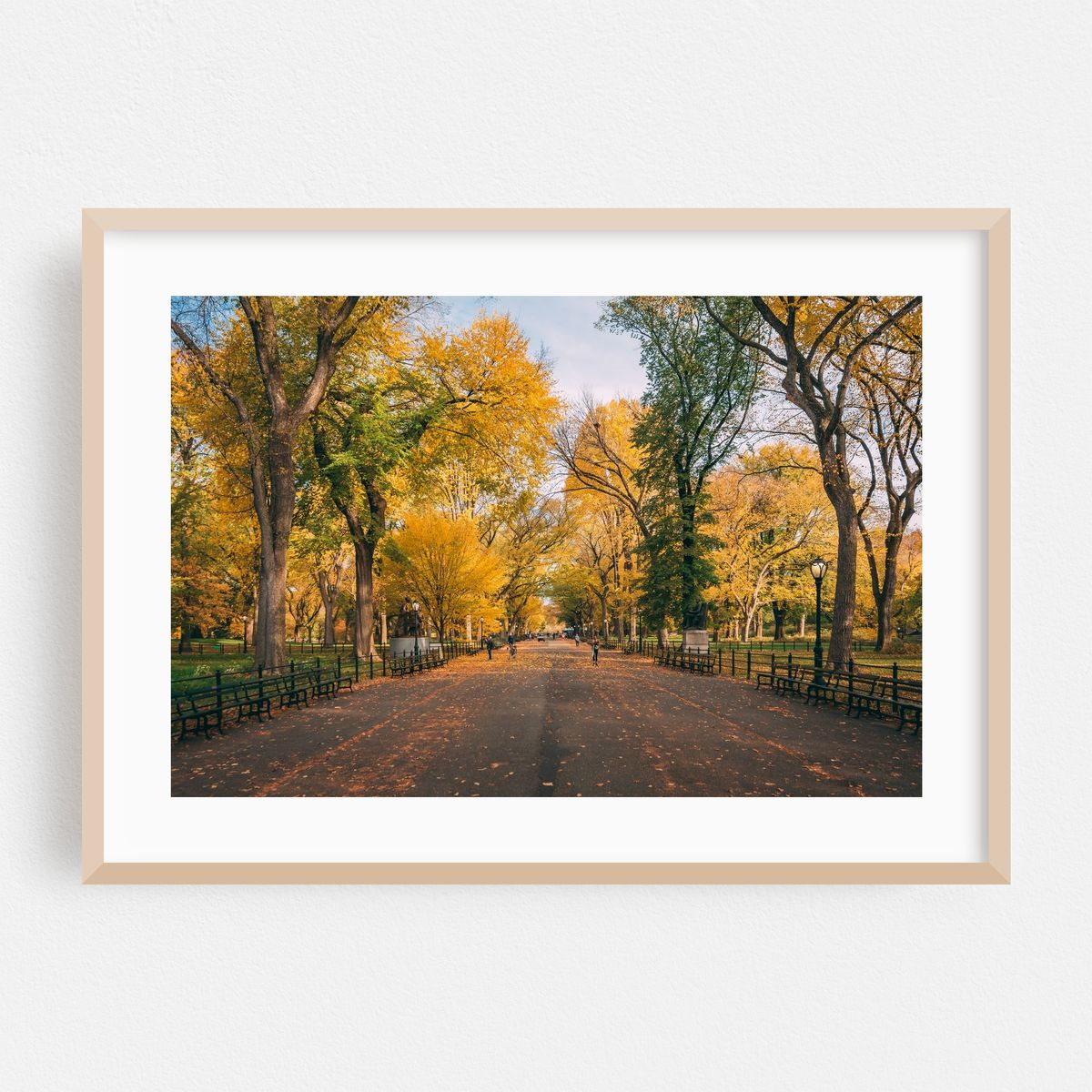 The Mall, Central Park 01 – image 1 of 6