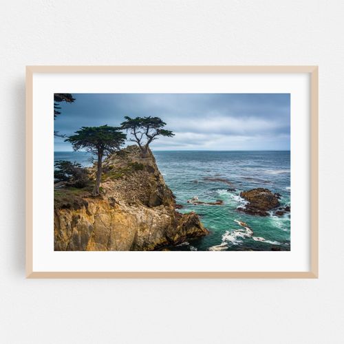 The Lone Cypress 02