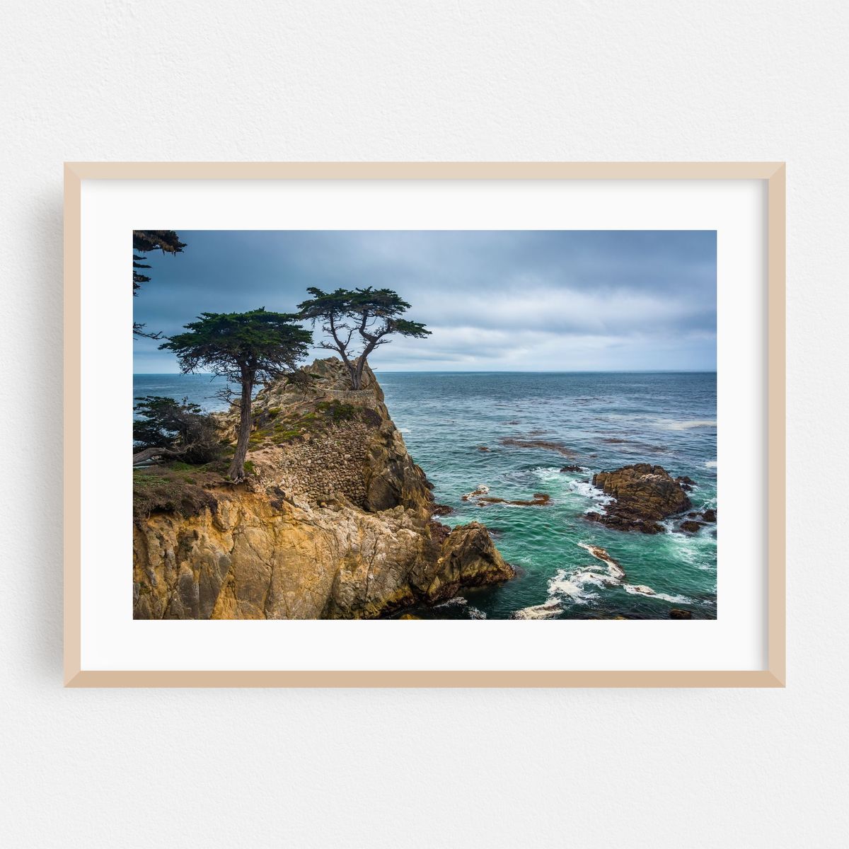 The Lone Cypress 02 – image 1 of 6