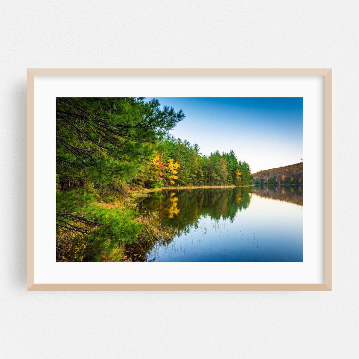 Long Pine Run Autumn 02 – image 1 of 6