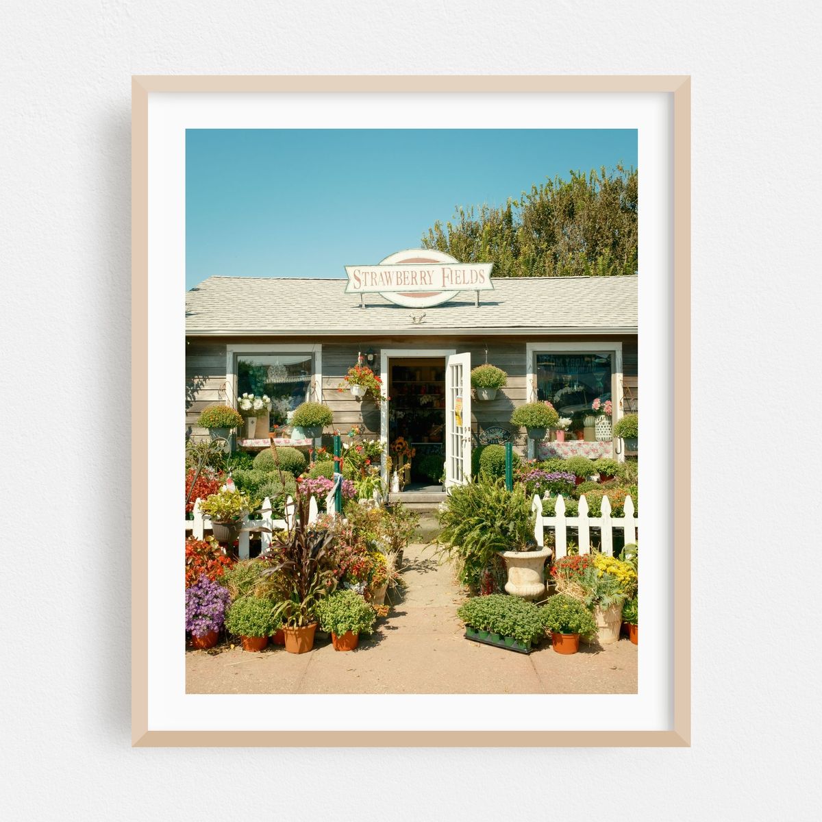 Strawberry Fields, Montauk 03 – image 1 of 12