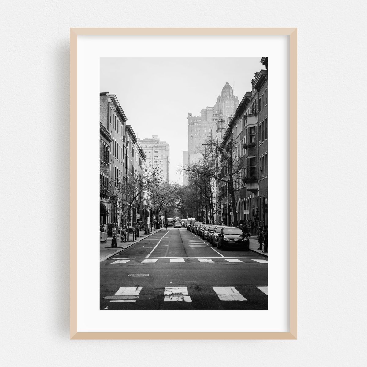 Soft Spruce Street B&W – image 1 of 16
