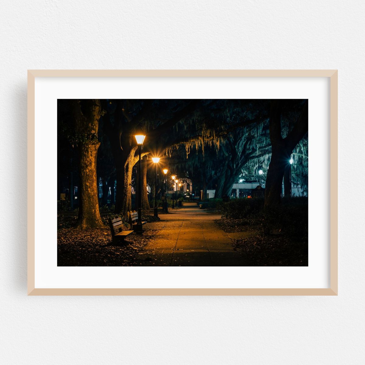 Spanish Moss – image 1 of 9