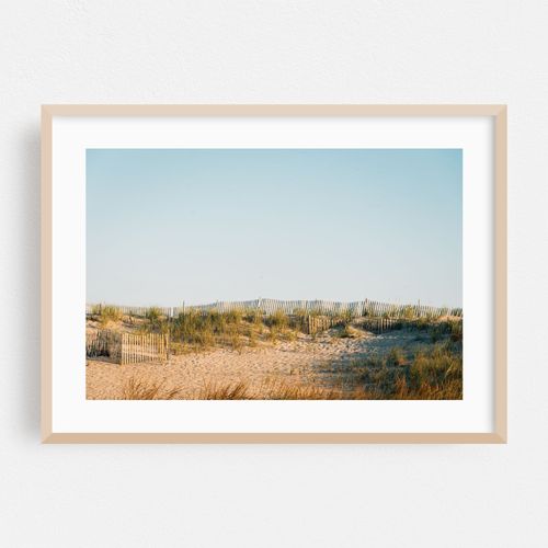 Fire Island Dunes 01