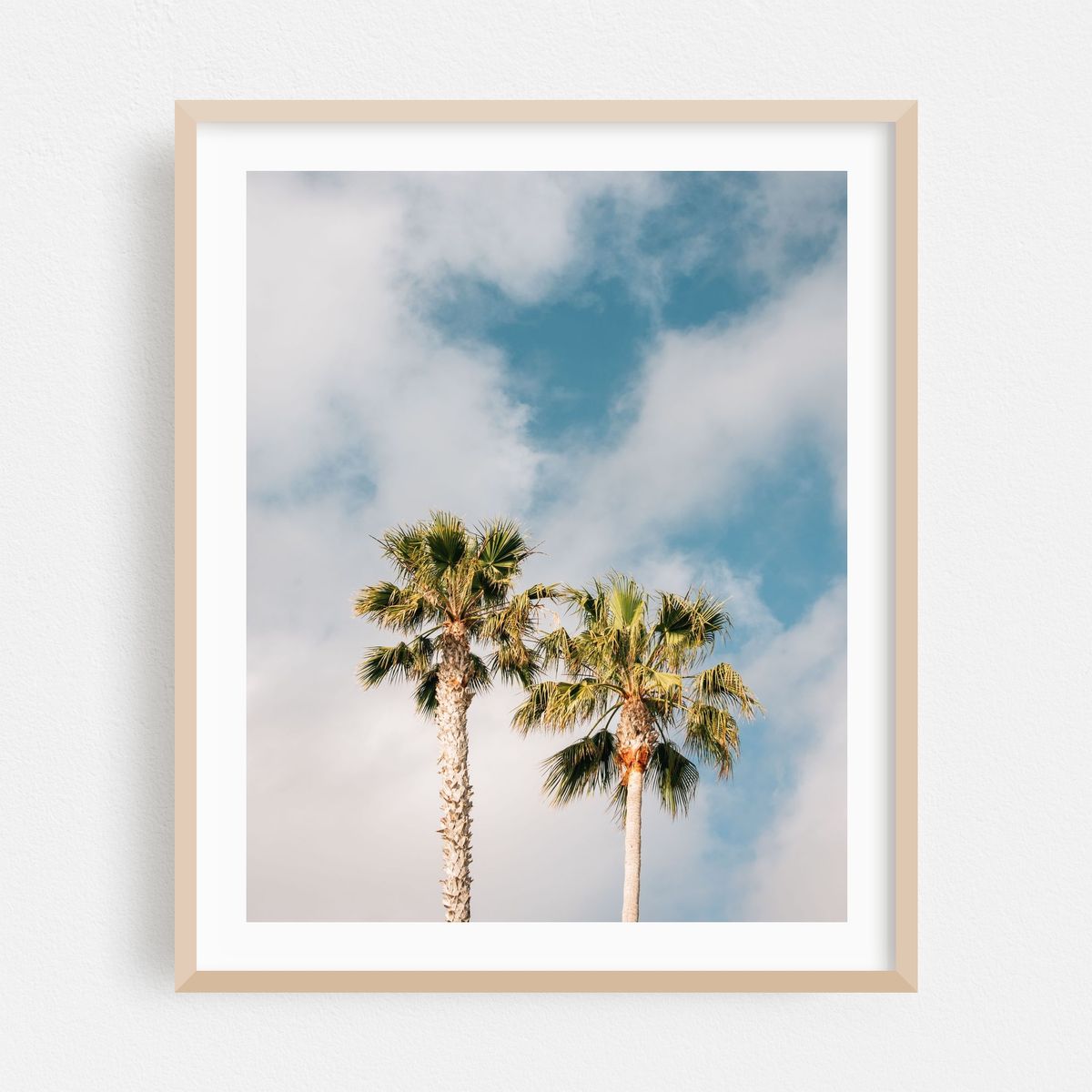 Palms at Treasure Island, Laguna Beach – image 1 of 12