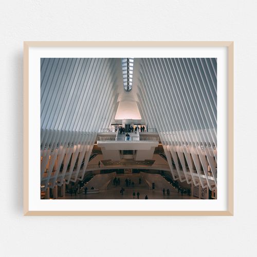 Oculus 12