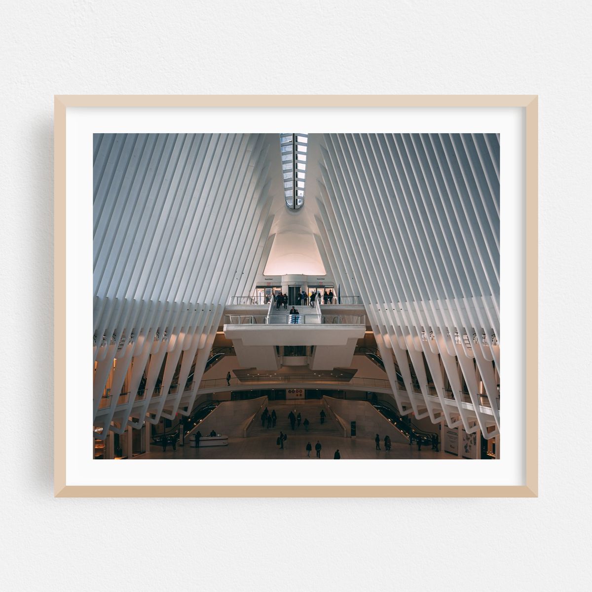 Oculus 12 – image 1 of 8