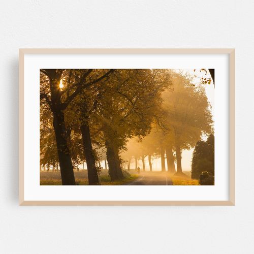 Autumn golden hour