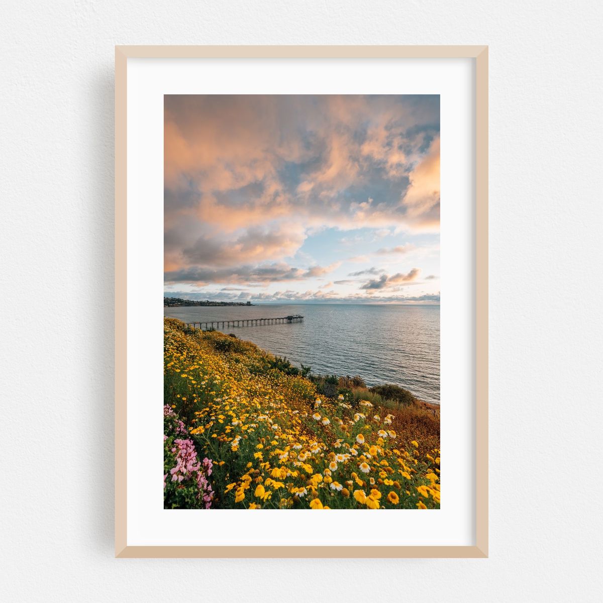 Over Scripps 01 – image 1 of 16