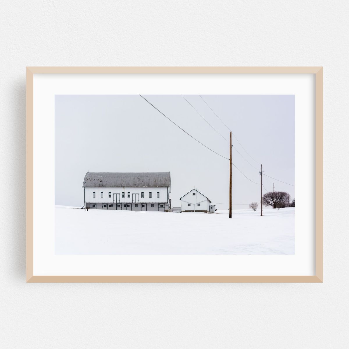 Silent Winter – image 1 of 6