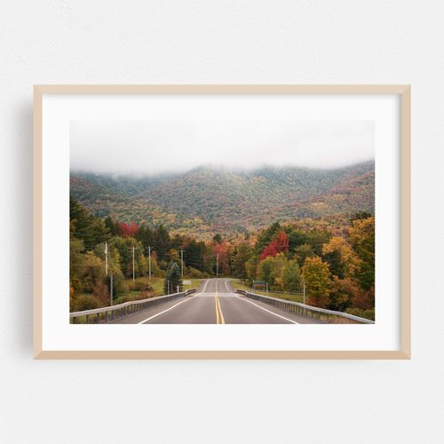 Catskills Autumn 01