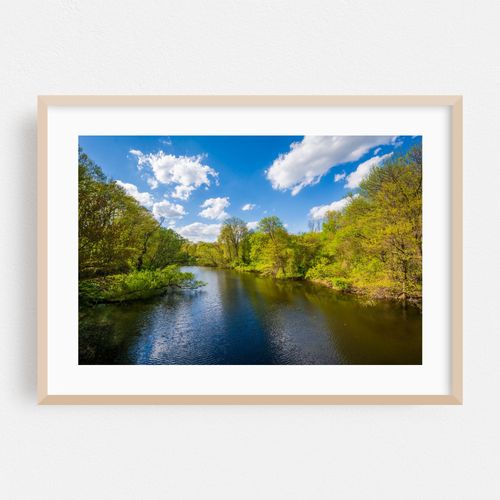 The Mill River