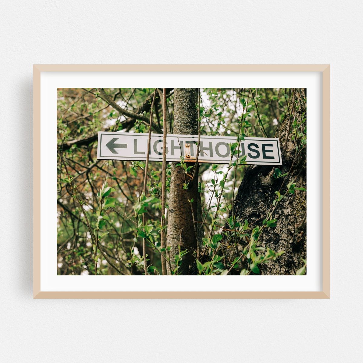 Lighthouse This Way – image 1 of 3