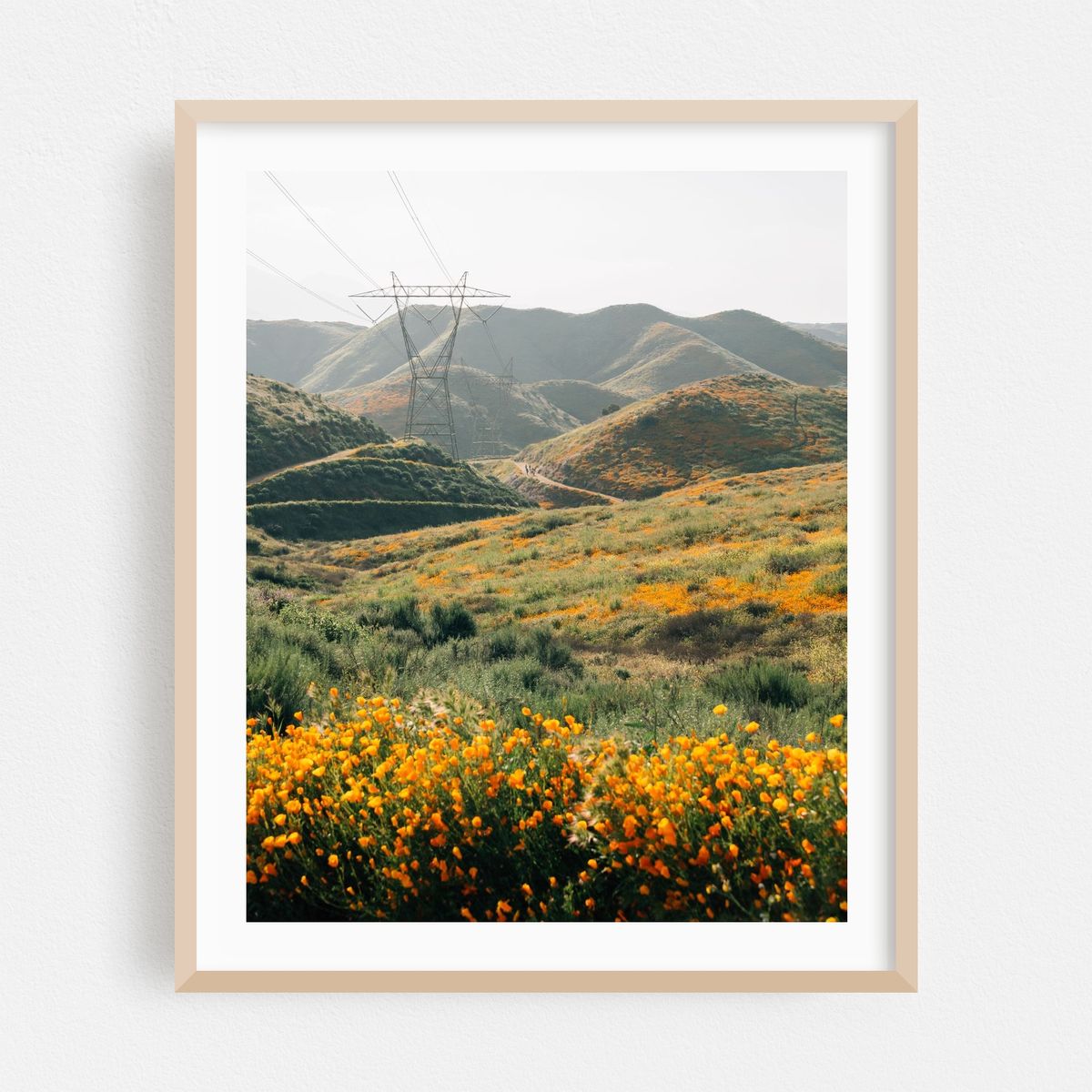 Superbloom Poppies, Lake Elsinore 01 – image 1 of 12