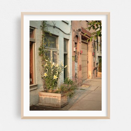 Floral Cobble Hill 01