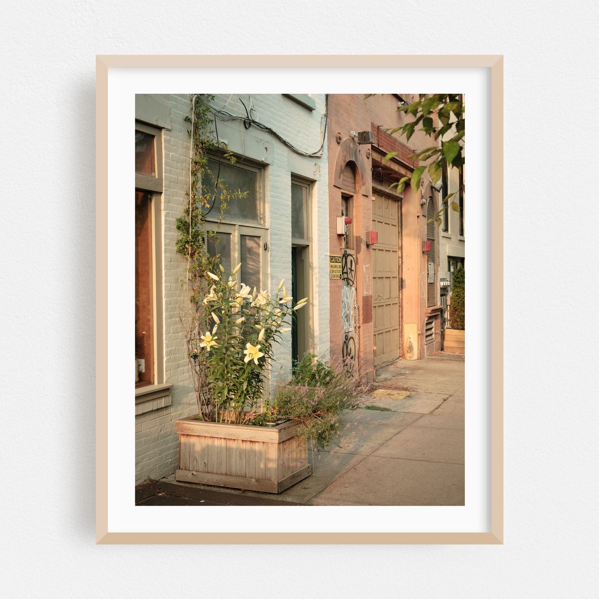 Floral Cobble Hill 01 – image 1 of 12