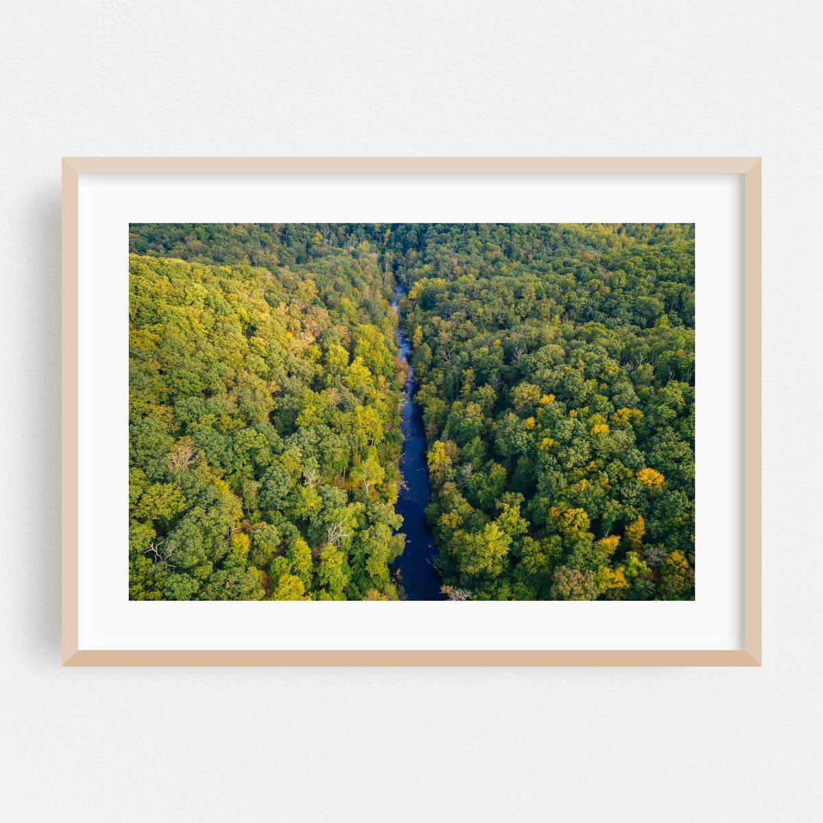 Bird's Eye Gunpowder Falls – image 1 of 6
