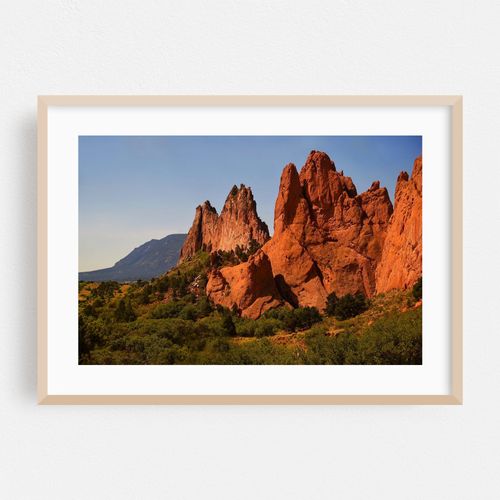 The Garden of the Gods