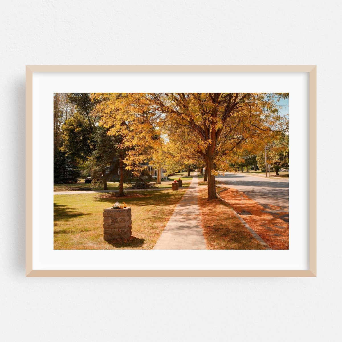 Autumn in Bloomfield 01 – image 1 of 6