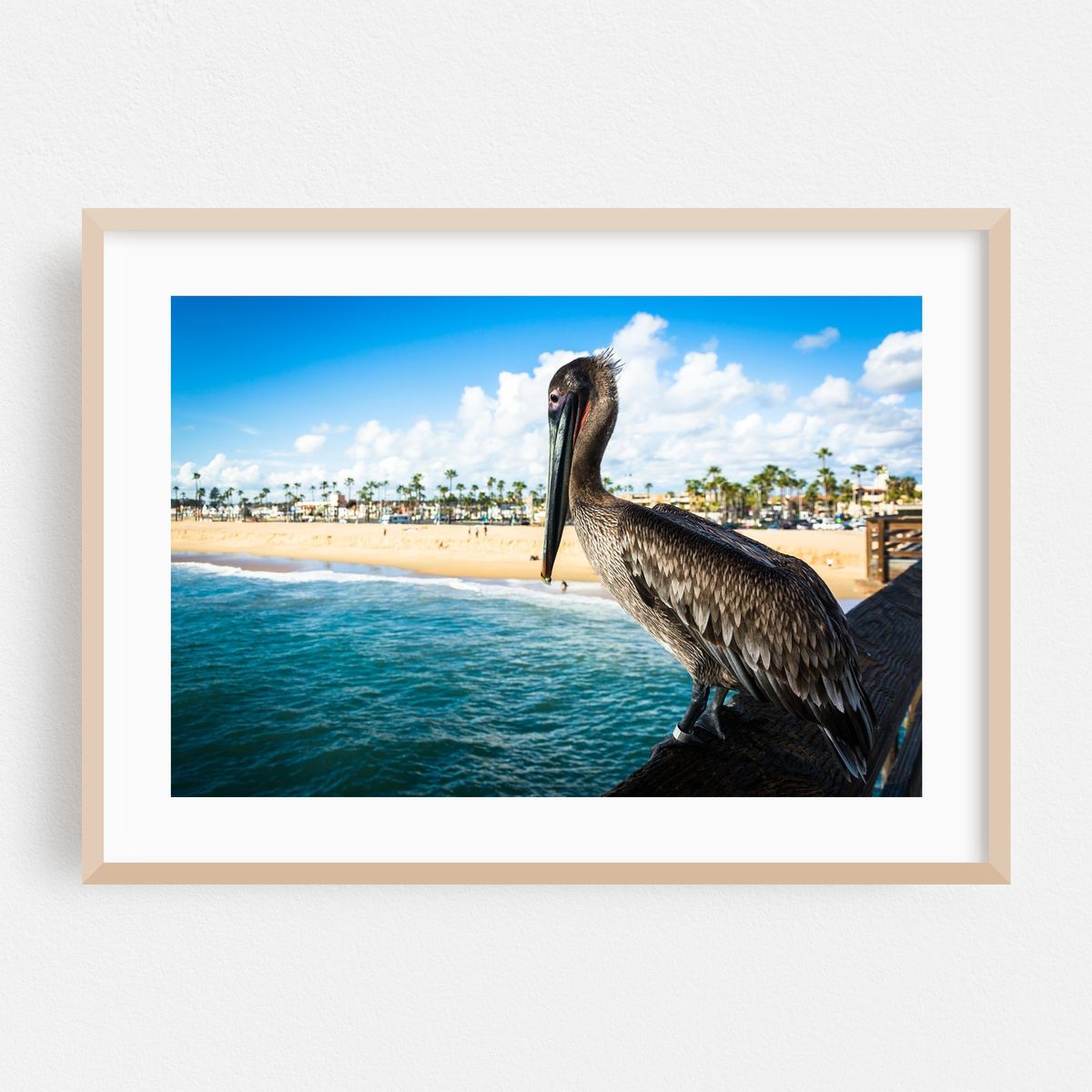 Balboa Pier Pelican – image 1 of 6