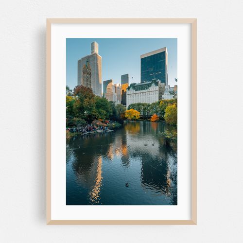 The Pond 03