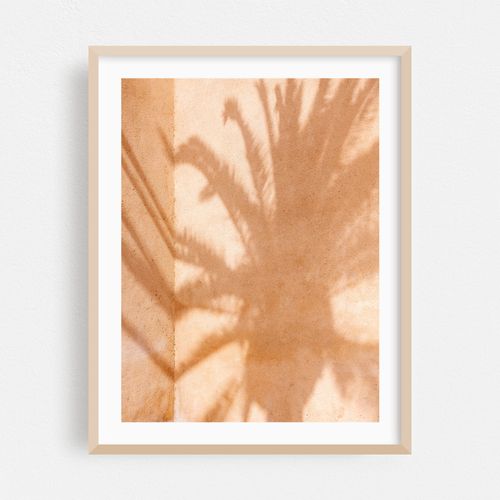 Sunlit Palm Shadow